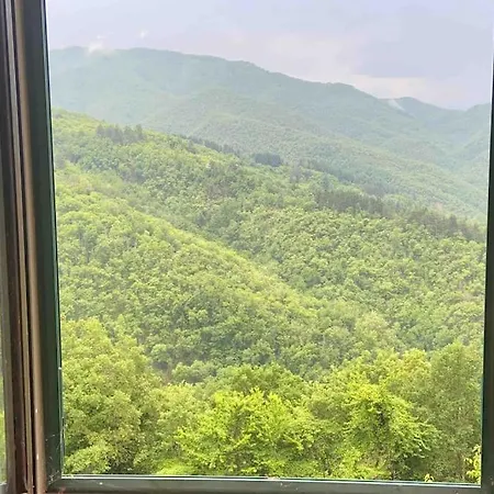 The Real Tuscany Holiday home